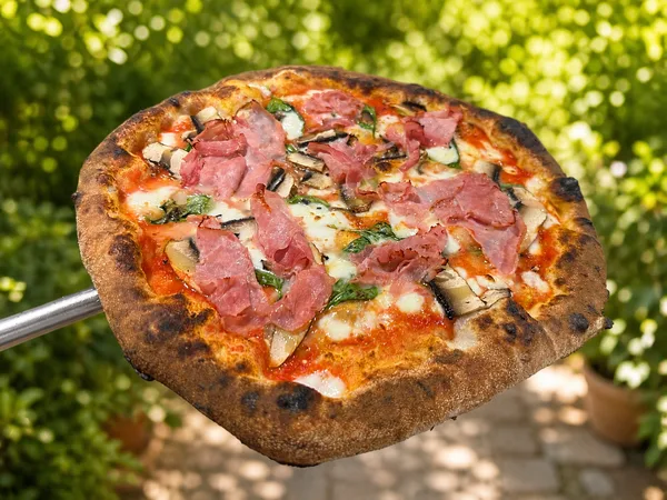 A prosciutto and mushroom pizza